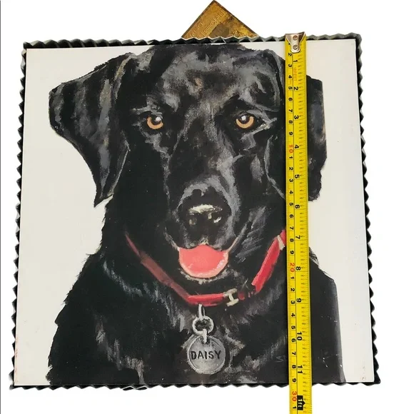 Black Lab Picture - Picture 6 of 7